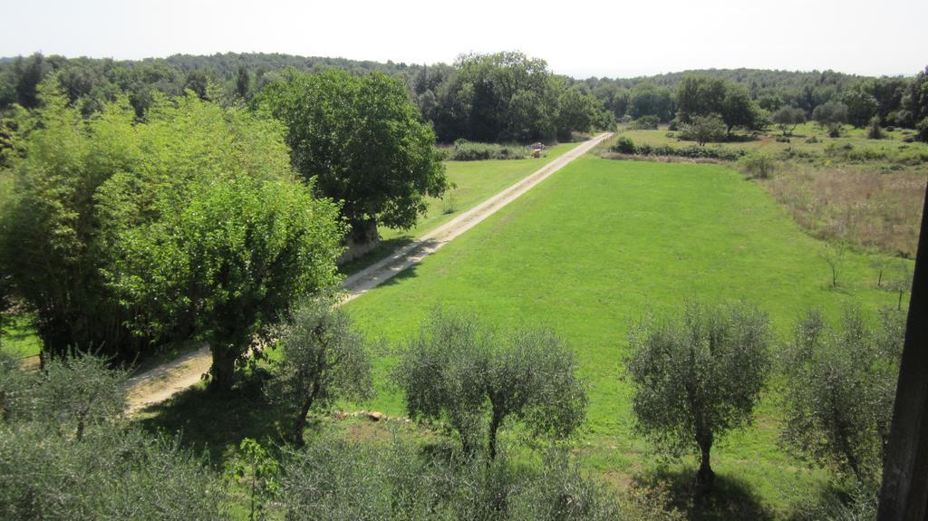 La Locaia Apartment Siena Bagian luar foto