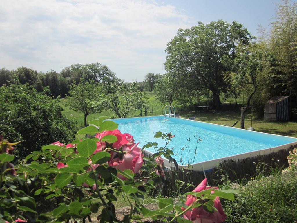 La Locaia Apartment Siena Bagian luar foto
